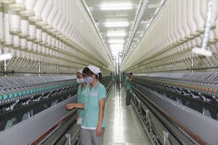 Vietnam’s garments and textiles seize TPP opportunities - ảnh 2
